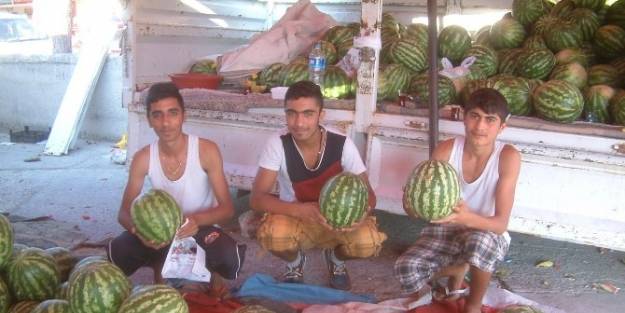 Okul Arkadaşları, İş Arkadaşı Oldu