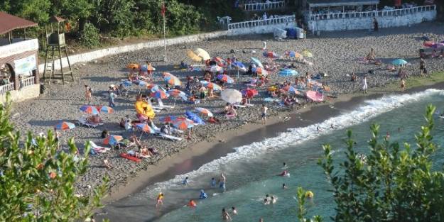 Karadeniz'in Mavi Bayraklı Plajına Yoğun İlgi