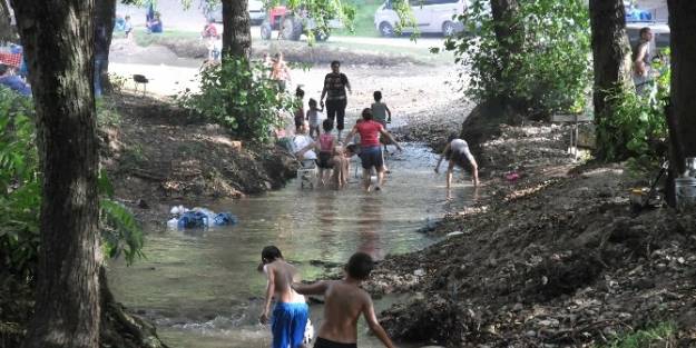 Akçakoca'da Mesire Alanları Doldu Taştı