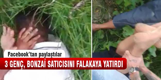 Bonzai satıcısını böyle dövdüler!