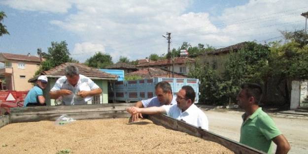 Buğday Alımı Yapan Köylerde İnceleme