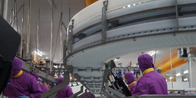 "türk Tavuğu Ve Yumurtası Dünyada Bir Numara"