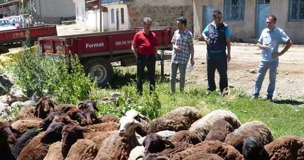 Oltu’da Orköy Faaliyetleri Devam Ediyor