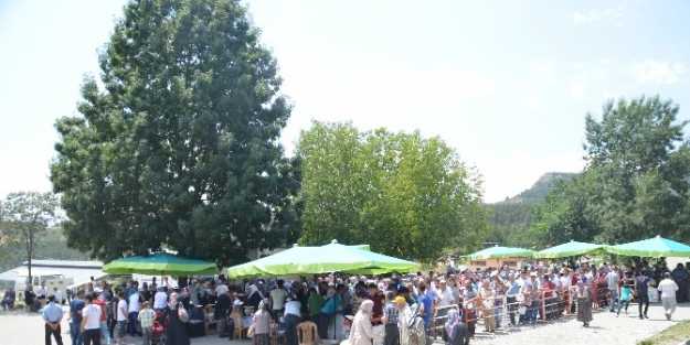 Tosya’da Sünnet Şöleni Festival Havasında Geçti