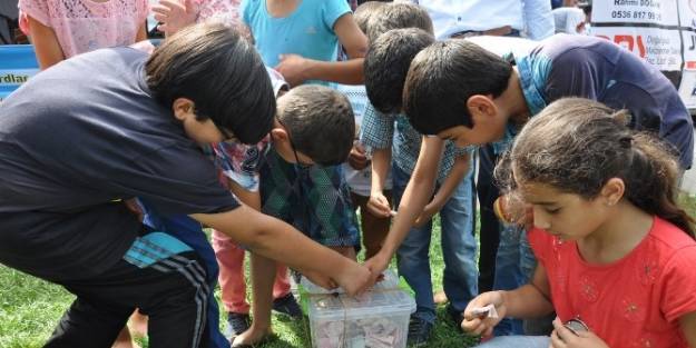 Posofluların Seyranı Gazze’ye Yardım Kampanyasına Dönüştü