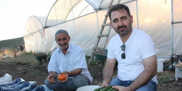 Bingöl’ün Bir Haftada 5 Ton Salatalık Üretiyorlar