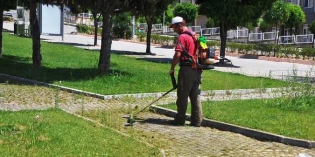 Tekirdağ'da Çim Ve Otların Temizliğine Başlandı