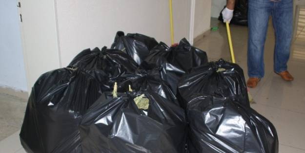 142 Kilo Esrar Ele Geçirildi