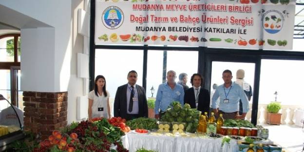 Meyve Üreticilerine Danışmanlık Hizmeti