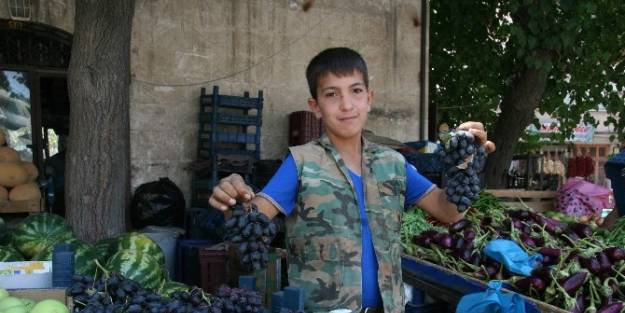 Kilis'te Horoz Karası Üzüm Piyasaya Çikti
