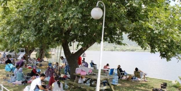 Susuz Yazdan Kaçan Soluğu Gölcük’te Aldı