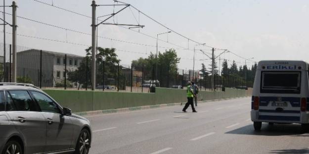 Trafiği Durdurup Yolda Mahsur Kalan Kediyi Kurtardı