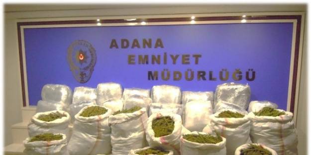 Bonzai Adana'ya Sıçradı