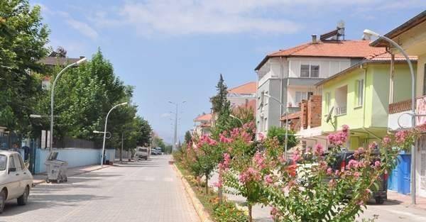 Oya Ağacı, Gölbaşı İlçesine Güzel Görünüm Kattı