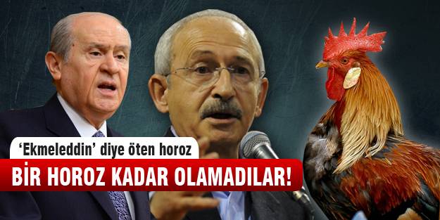 'Ekmeleddin' diye öten horoz