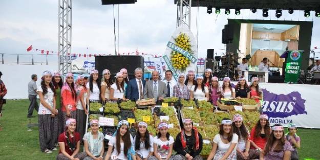 Tarsus 33. Üzüm Ve Kültür Festivali