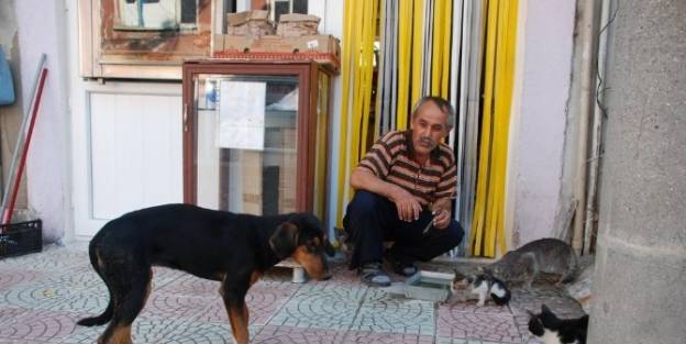 Duyarlı Esnaftan Sokak Hayvanlarına Su Kabı