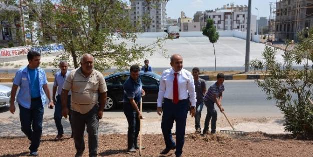 Kilis’teki Parklar Çimlendiriliyor