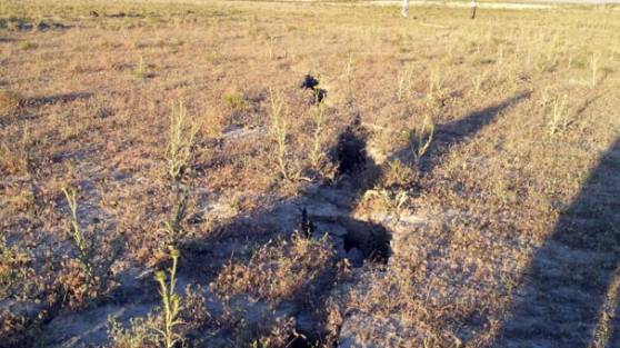 Bu ilde kuraklık alarmı verildi