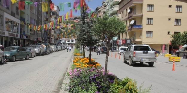 Belediye’nin Ektiği Çiçekler Hakkari’ye Renk Kattı