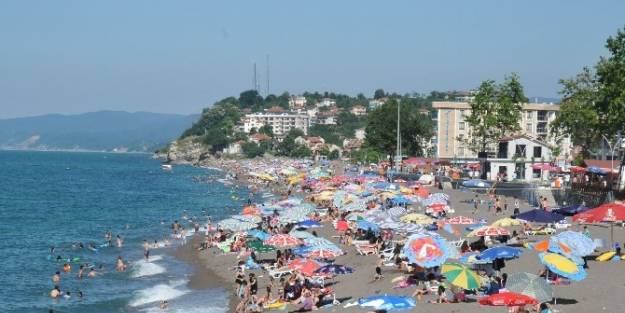 Plajlar Takip Altında