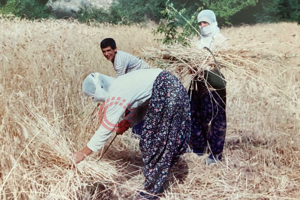 Fethi Sekin’in doğup büyüdüğü köy evi ilk kez görüntülendi