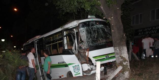 Ünye’de Kontrolden Çikan Dolmuş, Ağaçları Devirdi