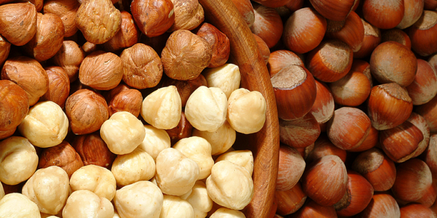 Fındık rekor kıracak!