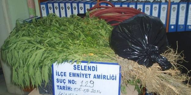 Selendi'de Uyuşturucu Operasyonu