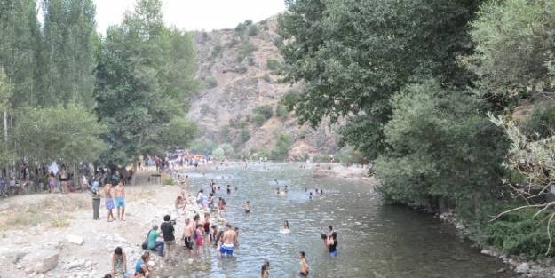 Munzur Ve Pülümür Çayi'ndan Alınan Numuneler Temiz Çikti