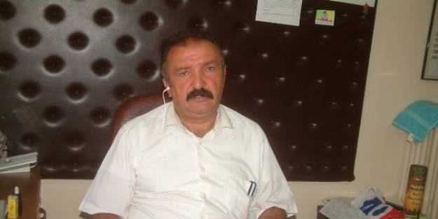 Körfez’de Zeytin Sineği İlaçlamasi Başlıyor