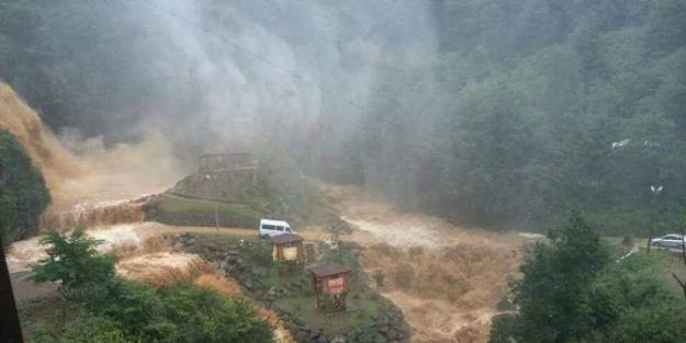 Rize'de Aşırı Yağışlar İlginç Görüntülere Sahne Oldu