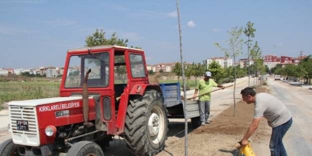 Kırklareli Şehir Mezarlığı'nda Çevre Düzenlemesi Yapılıyor