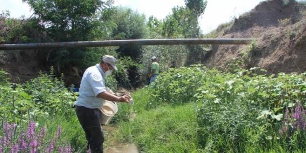 Kırklareli’de Sivrisinek Mücadelesi Sürüyor
