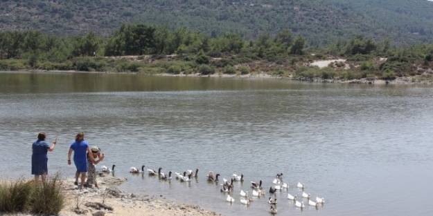 Urla’nın Gölleri Köy Turizme Kazandırılacak