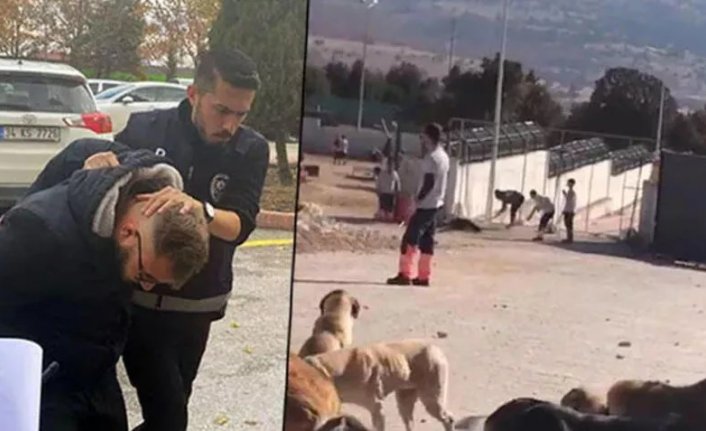 Köpeğin kürekle öldürülmesi skandalında yeni gelişme