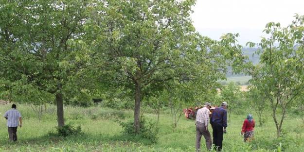 Köylerde Tükas Çalişmalari Başladı