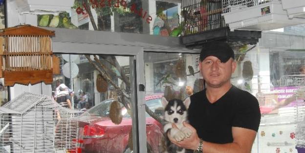Pet Shop Sahibinden Vatandaşlara Uyarı