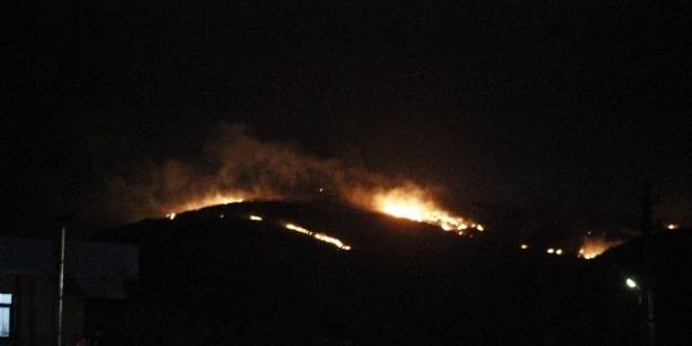 Hatay’da Orman Yangını