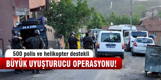 Büyük bonzai operasyonu!