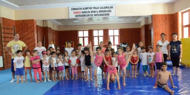 Cimnastik İl Spor Okulları