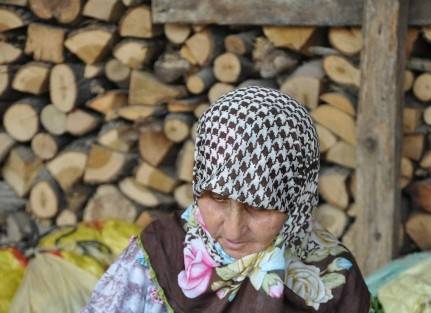 Tütün Üreticileri Rekolteden Memnun, Fiyattan Şikayetçi