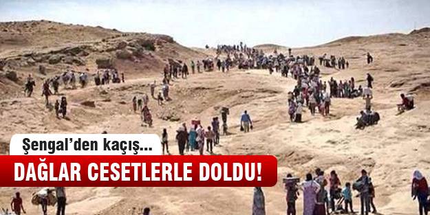 Şengal'de hayat durdu!