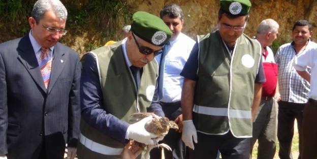 Giresun’da Doğaya 500 Adet Sülün Bırakıldı