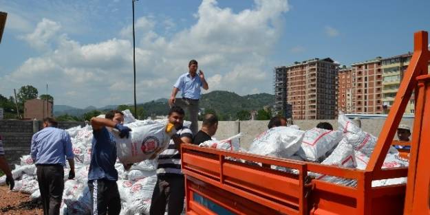 Fatsa'da Kömür Dağıtımı Başladı