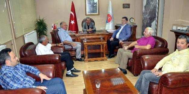 Ak Parti Yeni Yönetimi Başkan Vergiliyi Ziyaret Etti