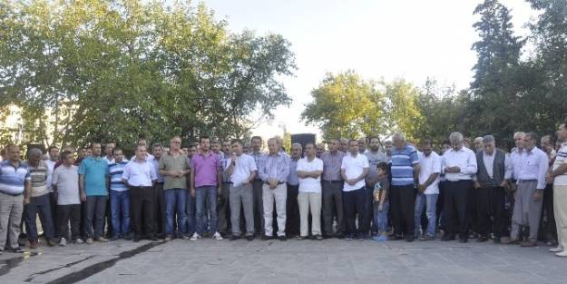 Kahta Stk’lar İşid’i Lanetledi