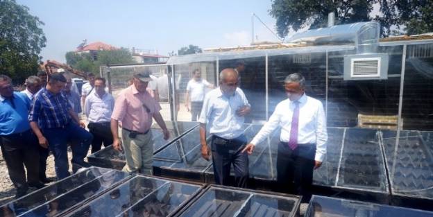 Muzaffer Yurttaş, Güneş Enerjisi İle Üzüm Kurutma Tesisinde