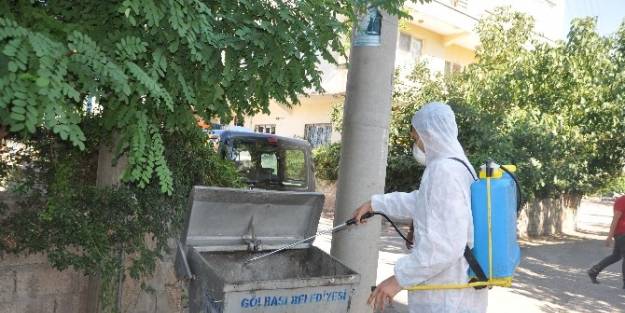 Gölbaşı Belediyesi, Karasineklere Karşı İlaçlama Çalişmasi Yapıyor