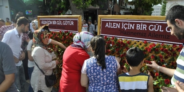 “ailen İçin Bir Gül Götür” Kampanyası